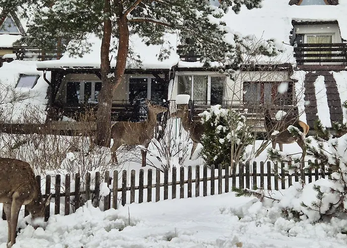 Apartament Wokół Stołu
